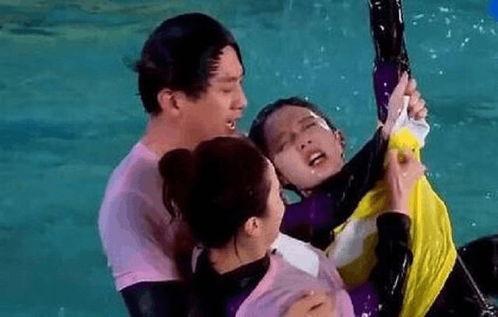 邓超爆料海豚视频下载,海豚视频下载背后的秘密  第2张